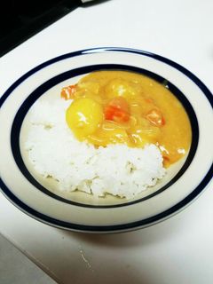 保育園のカレー-レシピのメイン写真