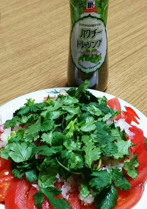 パクパクパクチーとトマトのサラ(^—^)-レシピのメイン写真