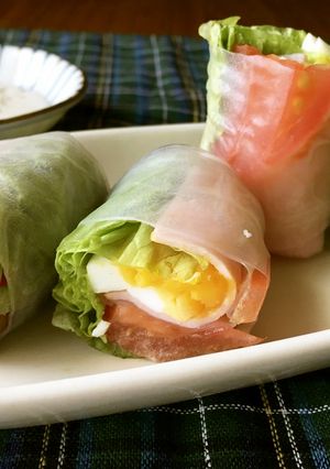 簡単巻くだけ!生春巻きでシーザーサラダ-レシピのメイン写真