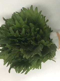 【簡単!】大葉の長期保存方法-レシピのメイン写真