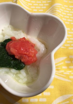 離乳食☆昆布だしのほうれん草とトマトお粥-レシピのメイン写真