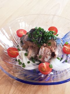 コストコ*カンタン酢 de サバ缶マリネ-レシピのメイン写真