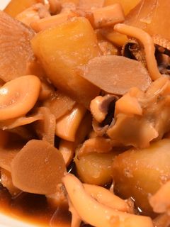 スミイカ(コウイカ)と大根の煮物-レシピのメイン写真