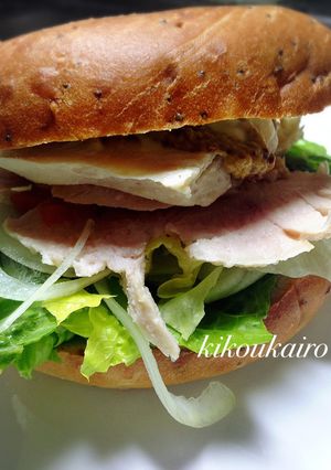 セブンのサラダチキンをお家で作ろう♪-レシピのメイン写真