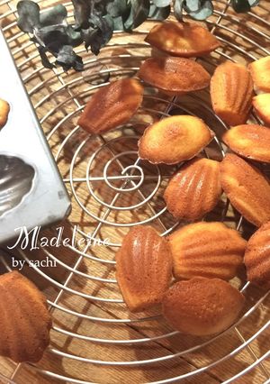 【保存版】マドレーヌ フランス式-レシピのメイン写真