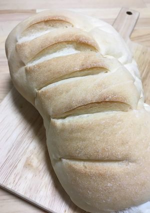 もっちりシンプルパン-レシピのメイン写真