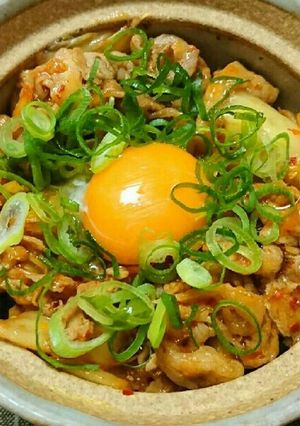 簡単☆高速♪美味しい豚キムチ丼-レシピのメイン写真