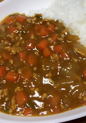 ˚✧₊⁎我が家のひき肉カレー⁎⁺˳✧༚-レシピのメイン写真
