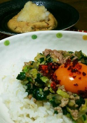 皮なし餃子丼-レシピのメイン写真