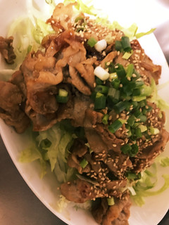 ヘルシー豚丼風♪-レシピのメイン写真