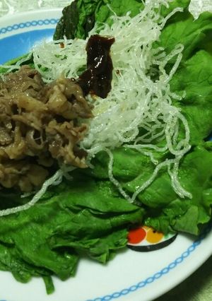 レタスの味噌入り肉・春雨巻き-レシピのメイン写真