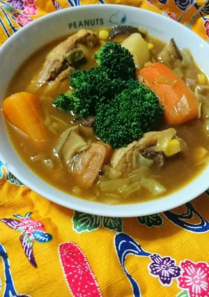 スープカレー-レシピのメイン写真
