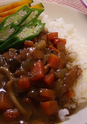 体に優しいカレー-レシピのメイン写真