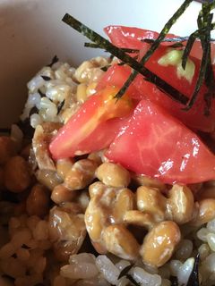 納豆とトマトのわさび和えのご飯-レシピのメイン写真