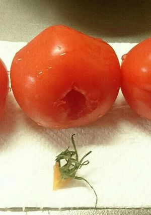 包丁もまな板も不要！トマトのヘタとり-レシピのメイン写真