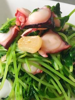 豆苗とタコのガーリック炒め-レシピのメイン写真