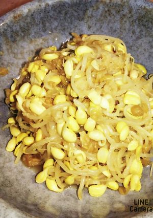 豆もやしの生姜ナンプラー和え-レシピのメイン写真