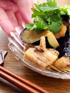 鶏胸肉となすのさっぱり揚げ浸し-レシピのメイン写真