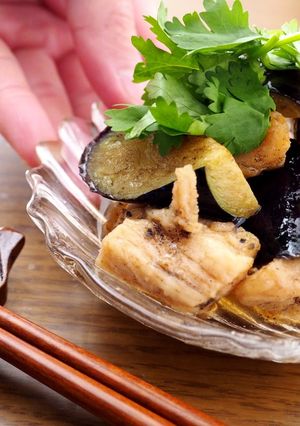 鶏胸肉となすのさっぱり揚げ浸し-レシピのメイン写真