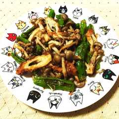 รูปของ 5分居酒屋メニュー☆ししとうおかか炒め♩