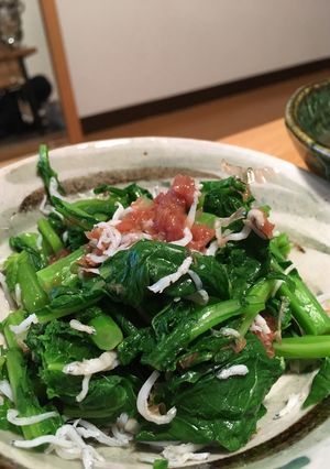 菜の花としらすの梅ポン酢和え-レシピのメイン写真