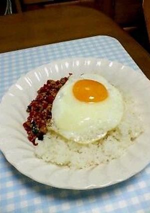 鶏肉のガパオ炒めご飯-レシピのメイン写真