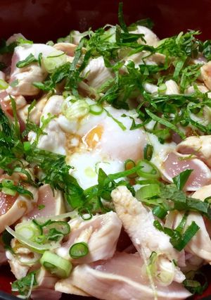 サッパリと鶏のササミ丼-レシピのメイン写真