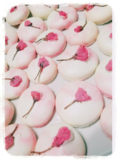桜マカロン❤-レシピのメイン写真