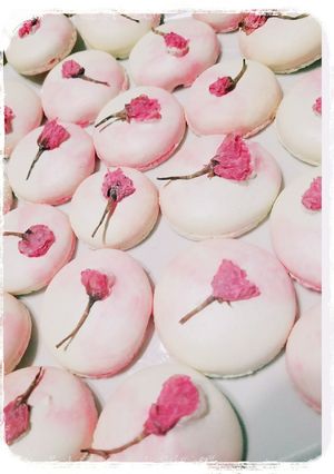 桜マカロン❤-レシピのメイン写真