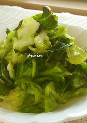オリーブオイル掛け病みつきキャベツ-レシピのメイン写真