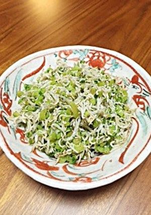 大根菜としらすのピリ辛炒め-レシピのメイン写真