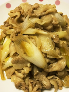 豚肉と長ネギの炒め物-レシピのメイン写真