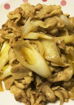 豚肉と長ネギの炒め物-レシピのメイン写真