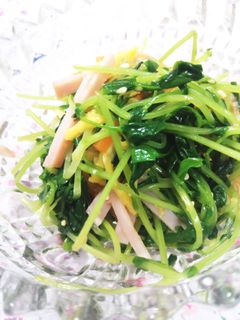 たっぷり豆苗の中華サラダ-レシピのメイン写真