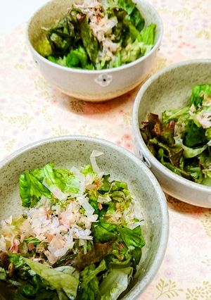 ピンクロースターとめかぶサラダ-レシピのメイン写真