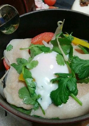 staubdeカラフル野菜の塩麹豚トロ丼-レシピのメイン写真