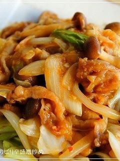 飯おかず!豚肉とキャベツのピリ辛味噌炒め-レシピのメイン写真