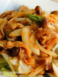 飯おかず!豚肉とキャベツのピリ辛味噌炒め-レシピのメイン写真