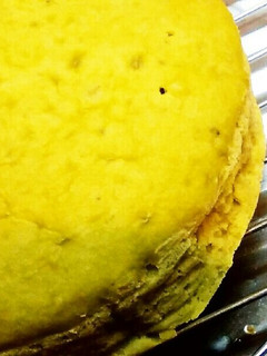 しっとり♡抹茶ケーキ-レシピのメイン写真