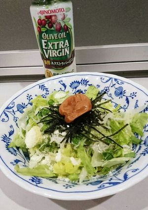 レタスとしらすのオリーブオイルサラダ-レシピのメイン写真