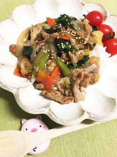 豚肉と野菜のピリ辛丼-レシピのメイン写真
