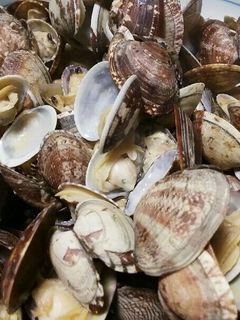 あさりのバター焼き-レシピのメイン写真