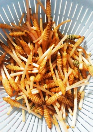 つくしのそうじ-レシピのメイン写真