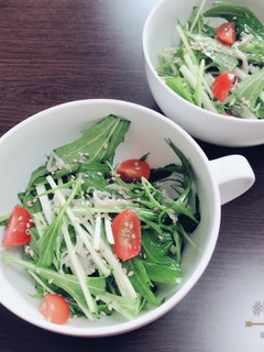 水菜としらすのサラダ-レシピのメイン写真