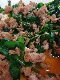 ニラとひき肉のオイスター炒め-レシピのメイン写真