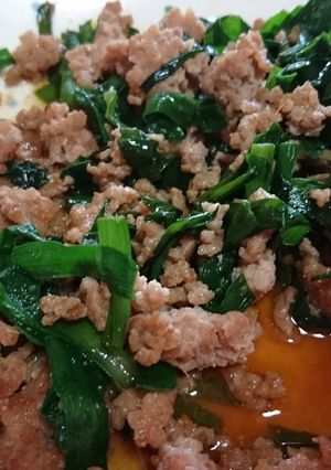 ニラとひき肉のオイスター炒め-レシピのメイン写真