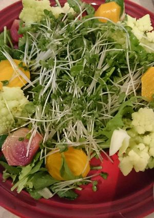 ﾋﾞｰﾂのサラダ-レシピのメイン写真