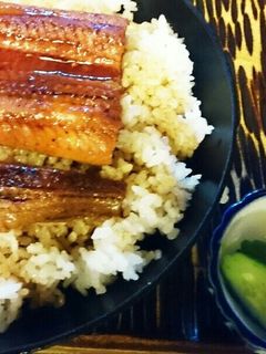 還元美食(水素料理) 鰻丼-レシピのメイン写真