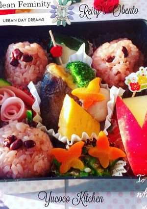 お赤飯おにぎり 春の和弁当-レシピのメイン写真