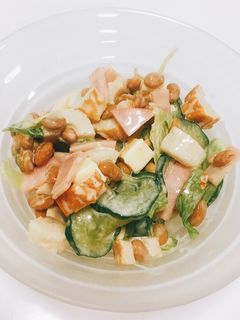 簡単、栄養たっぷり!!納豆サラダ-レシピのメイン写真